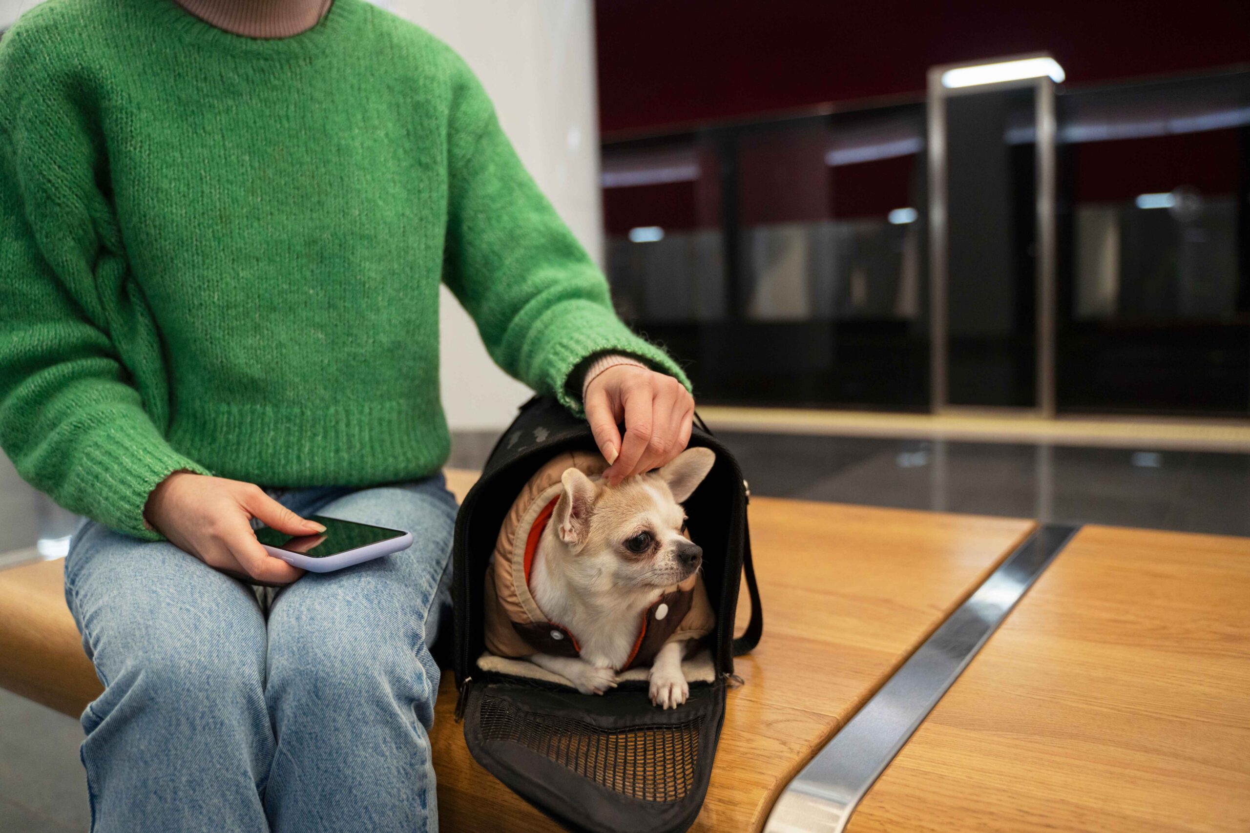 united airlines pet policy